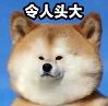 1695367993285.png