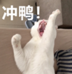 1695351764045.png