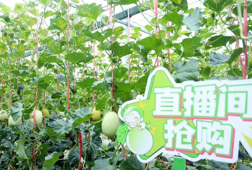 微信图片_20240317222723.png
