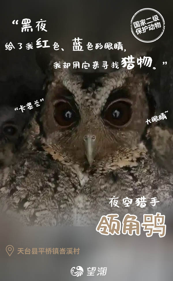 原来，你也住台州呀！