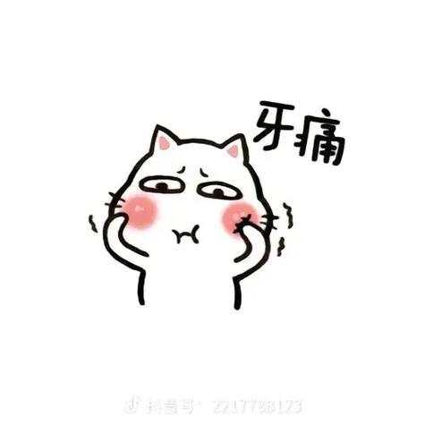 IMG_2644.jpeg