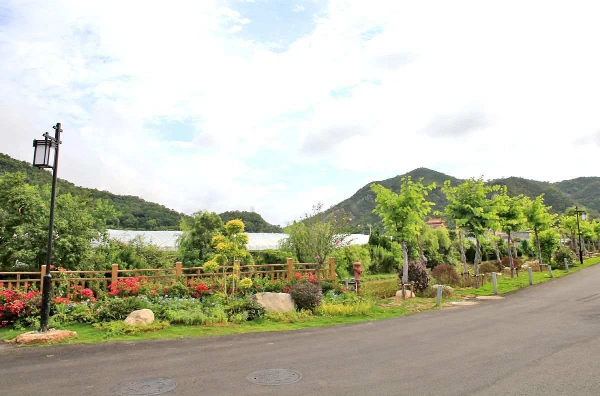 干江镇的双兴村.jpg